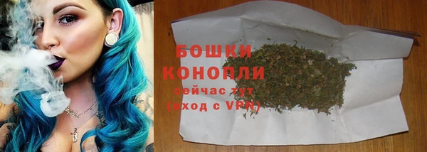 индика Переславль-Залесский
