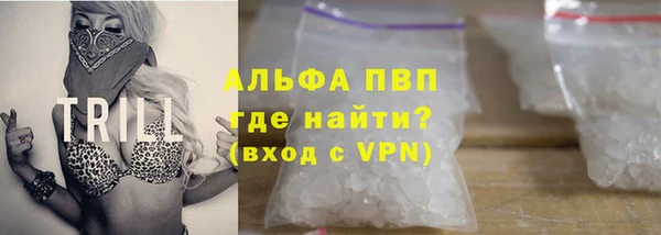 индика Переславль-Залесский