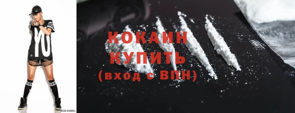 индика Переславль-Залесский