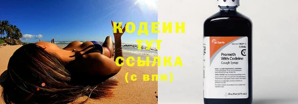 индика Переславль-Залесский