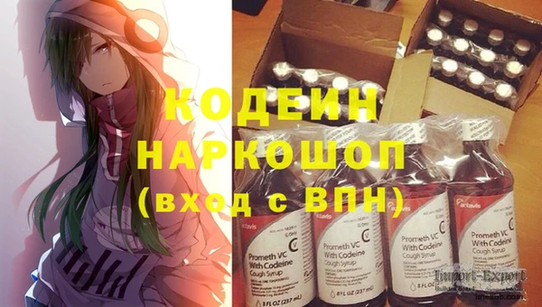 индика Переславль-Залесский