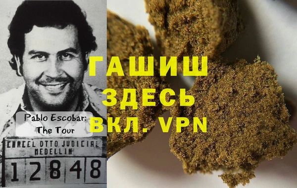 индика Переславль-Залесский