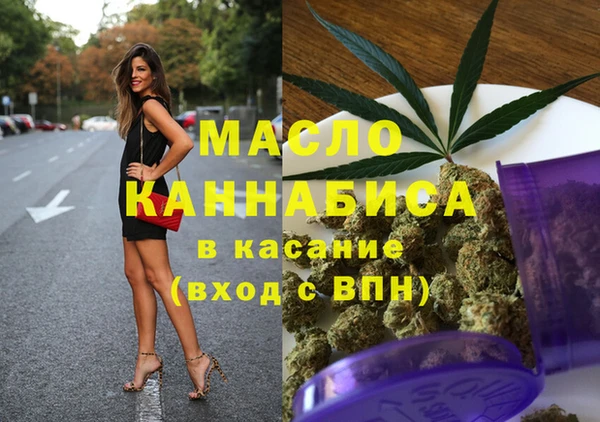 индика Переславль-Залесский