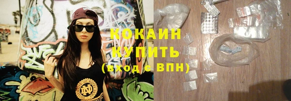 индика Переславль-Залесский