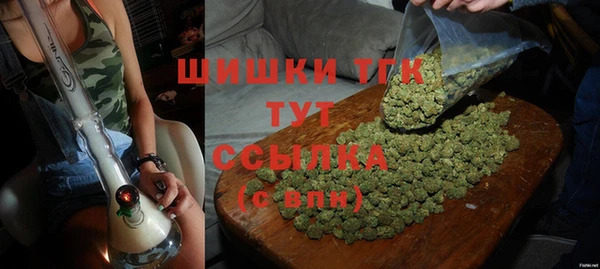 индика Переславль-Залесский