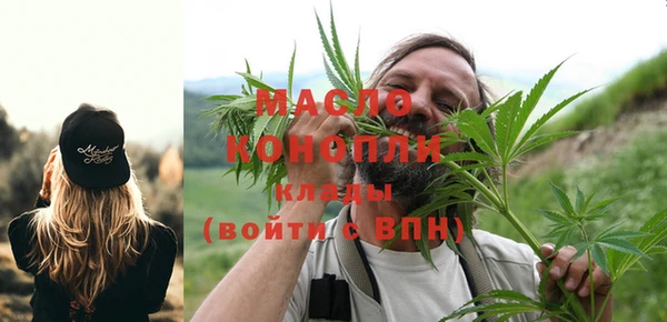 индика Переславль-Залесский