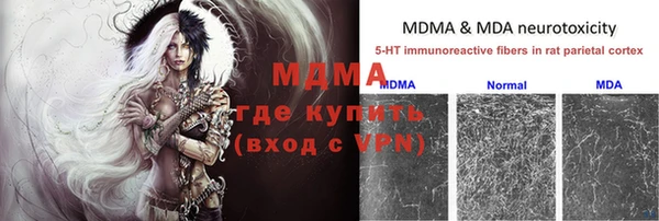 индика Переславль-Залесский