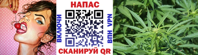 Каннабис SATIVA & INDICA  купить  цена  Шелехов 